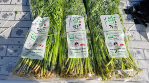 대구 동구, 청정 팔공산미나리 소비촉진 행사
