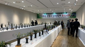 제27회 안동시난연합회 한국춘란 전시회 개최