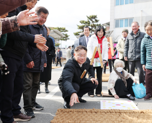 칠곡군 8개 읍면서 정월대보름 행사