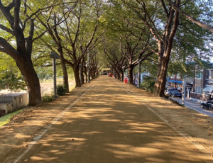 대구 동구, 금호강변 맨발산책로 조성