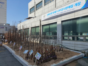 산림조합중앙회 대경본부 “나무 묘목 사러오세요”