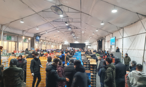 대구농수산물도매시장, 블라인드 경매 본격 시행