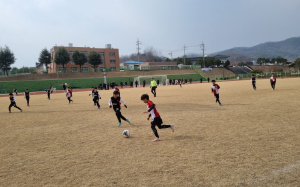 김천시, 유소년 축구 페스티벌 성황리 종료