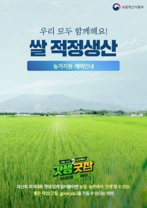 군위군, 쌀 과잉생산 대응…수급 안정 도모