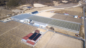 경북도, 녹색 축산 기반 조성 추진ㆍ가축 분뇨처리 방식 다양화 ㆍ ‘온실가스 배출 저감’ 실현