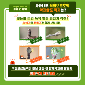 김천시, 화상병 약제 적기 살포 당부