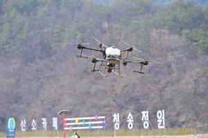 청송정원 꽃양귀비 단지 조성