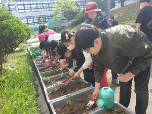 대구 남구, ‘2024 내일은 도시농부’ 운영