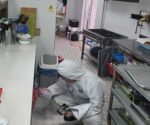 포항시 남구청, 식품 안전사고 예방 지도
