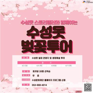 수성문화재단, ‘벚꽃투어’ 운영