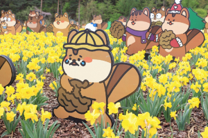 봄꽃 소식 풍성한 경북에서 즐기세요
