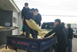 경북도농업기술원, 육성 벼 신품종 우량종자 보급