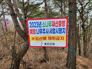 울진군, 소나무재선충병 예방사업