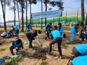 달서구 간부공무원봉사단, 편백나무 식재