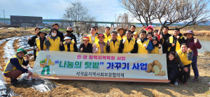 칠곡 석적읍지사협, 휴경농지에 사랑의 감자 심기