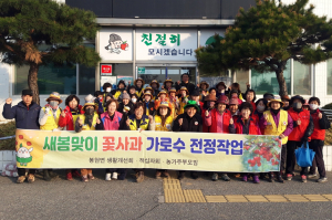 영주시 봉현면, 새봄맞이 꽃사과 가로수길 정비