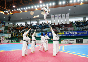 국내 태권도 최강자들 영천서 진검승부