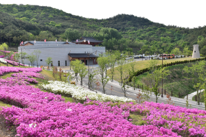 봄꽃 만개한 경주 화랑마을서 추억쌓기