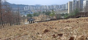 김천시, 혁신도시 입주 10년 맞이 식목일 기념행사