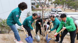 포항교육청, 전 직원 희망의 나무심기