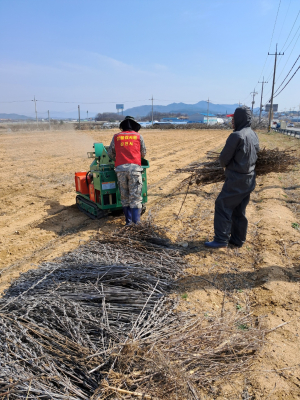 김천시 아포읍, 영농부산물 파쇄 작업 진행