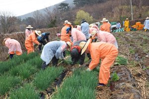 포스코 포항제철소, 농작물 수확ㆍ나눔 봉사