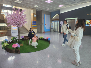 경북교육청정보센터, 봄맞이 벚꽃 포토존 설치