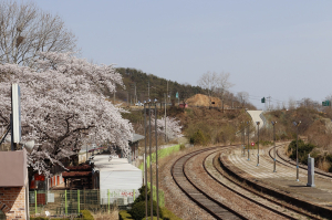 영주시 풍기읍 수철리, ‘산불에 강한 마을 가꾸기’ 사업 공모 선정