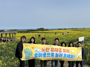포항시 호미곶면, 유채꽃단지 홍보 활동