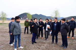 고령군, 대가야축제장 현장점검