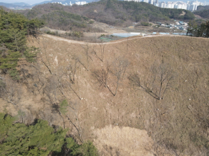 달성군,  소나무재선충병 방제 총력
