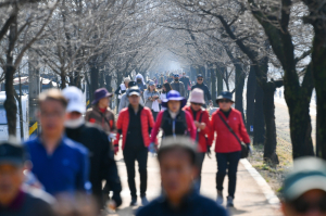 영주시, 봄맞이 건강 되찾는 ‘걷기 챌린지’