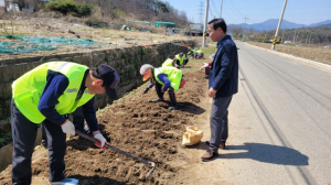 고령군 운수면, 노인일자리 마을 꽃길 조성