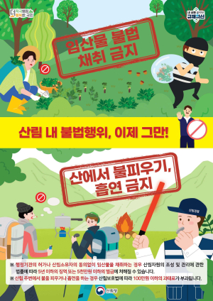 울진군, 산림 내 불법행위 특별단속 기간 운영