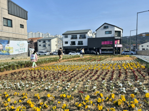 경북도청 신도시에 꽃밭 조성…등하굣길 경관ㆍ환경 개선