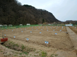 수성구, 팔현 공영도시농업농장 분양자 모집