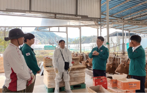 경북도, 소 럼피스킨 재발방지에 총력 대응