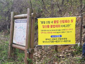 영덕군, 봄철 산림 내 불법행위 집중단속