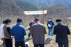 울진군, ‘과수화상병’약제 방제 현장 연시회