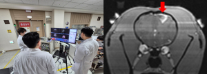 케이메디허브–㈜뉴로소나, 국산기기 최초 대동물 뇌혈관장벽 개방 성공