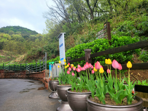 김천 남면, 운남산 등산객 맞이 환경정비