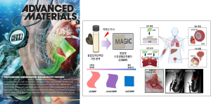 케이메디허브, ‘Advanced Materials’ 표지 논문 선정