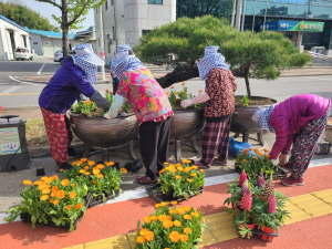 김천시 어모면, 금잔화 1200본 식재