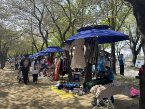 수성벼룩시장, 수성못서 올해 첫 개장 ‘성황’