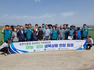 영천시, 김병석 농진청 국장과 함께  마늘⋅양파 생육상황 현장 점검