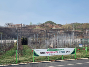 안동시농기센터, 화상병 ‘적기 방제’ 당부