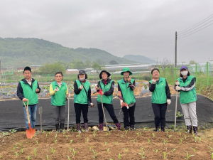 김천시 율곡동 새마을협 행복도시 텃밭 경작