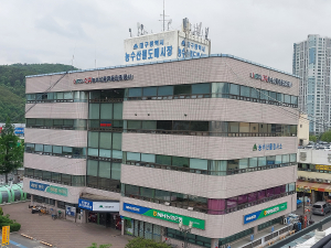 대구농수산물유통공사 일반 채용