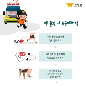 경북소방, 따뜻한 날씨 뱀 출현 주의보