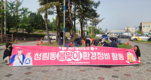 포항시 청림동, 365 클린도시 환경정비